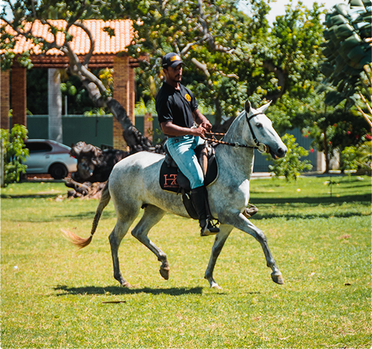 Haras Zarley